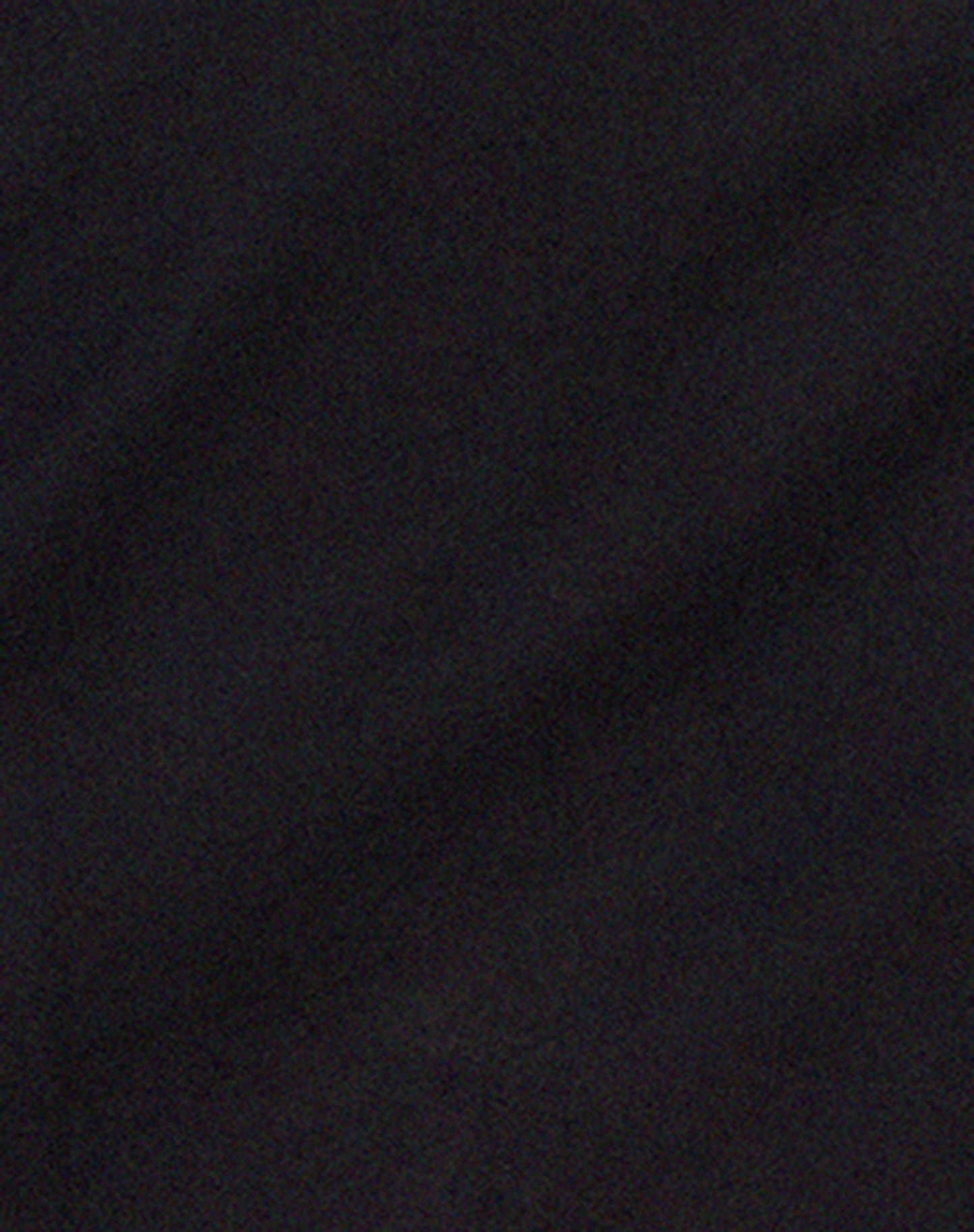Sheny Mini Skirt in Black